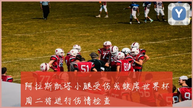 阿拉斯凯塔小腿受伤或缺席世界杯周二将进行伤情检查